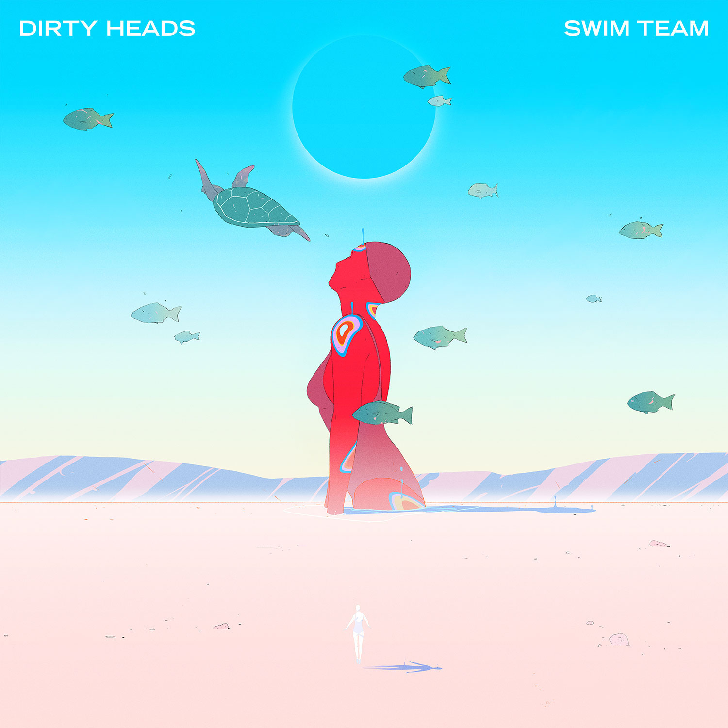 Dirty Heads - Swim Team (Various)